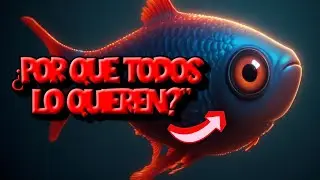 &iexcl;El pez que hipnotiza con la mirada! 🐟🔴 Tetra Ojos Rojos Bal&oacute;n: secretos y curiosidades #peces #aqua