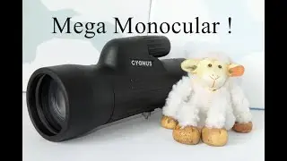 Get Closer to Nature with the Viking Cygnus 12x50 Monocular