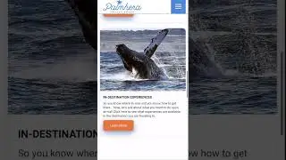 Book Expedia rates directly through our website!Travel Tip Thursday Booking @PalmheraTravel