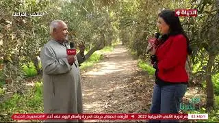 أهل بلدنا - إيه أطعم نوع؟.. الحج سيد هيقولك كل كبيرة وصغيرة عن محصول البرتقال في الفيديو ده