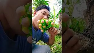 Kriuk Kriuk Enak 
