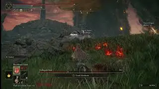 Elden Ring- Three bosses left