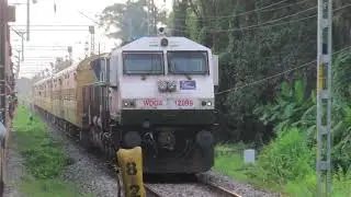 4,000HP WDG4 Locomotive with 7 ICF Coaches!!!!.