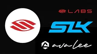 Selkirk Sport Pickleball Sub-Brands Explained (SLK, Ava Lee, LABS)