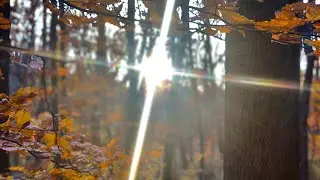 Lyran Light Language Groundmission towards Winter Solstice 2020 ✨🚀🙏🏻🌀✨