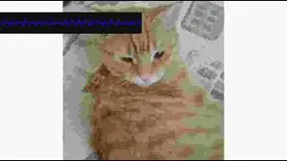 Skiffle Keyboard   Virtuoso   vuodrxlbdq