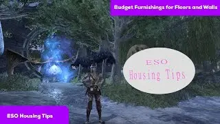 ESO Housing Tips -  Floors and Walls