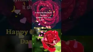 Best Romantic Rose day Wishes videos