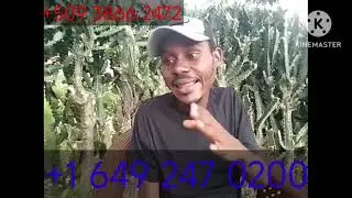 bad news John-Alusma Bolivar returns to them all the details in the video