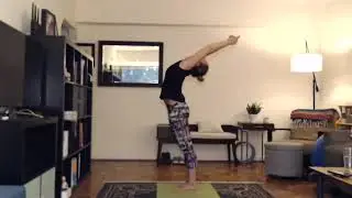 Bikram Vinyasa Yoga Hybrid