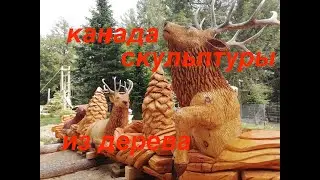 Omega park in Canada /Парк дикой природы/Сафари парк/Жизнь в Канаде