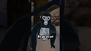 Fake ghost #gorillatag #oculus #oculus2 #geometrydash #oculusgo #oculusquest2 #funny #vr #gameplay