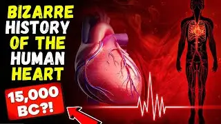 Top 10 Points About Bizarre History Of The Human