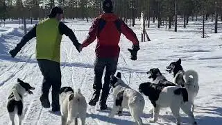 Sem and Mo Antics with Pups