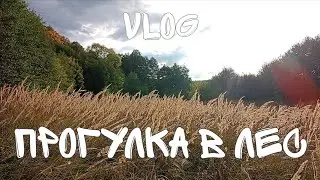 Прогулка в лес | vlog 2025
