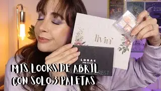 💜UN MES SOLO USANDO 3 PALETAS DE SOMBRAS💜 RANKING MENSUAL DE PALETAS💜 - Ro Contardo