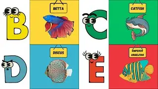 ABC Sea Creatures 🌊🐠| Fun Alphabet Song for Kids | Learn Marine Animals | UZR Learning | #abcd #kids