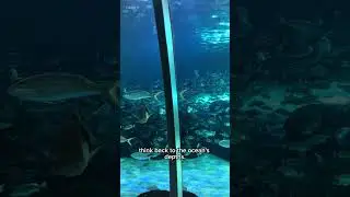 Toronto Aquarium Vlog 🐠 | First Time Experience