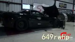 D1SC Procharger Supercharger C5 Corvette LS1 Pump Gas Methanol Injection 649 whp