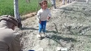 Jalalabad Gilgit March 2025 (Ailya Hussain)