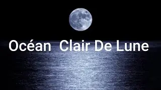 Pour S'endormir. Bruit De L'Oc&eacute;an Au Clair De Lune Se D&eacute;tendre, Zen, M&eacute;ditation.