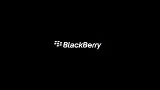How can Secure and Archive data By Blackberry Workspace