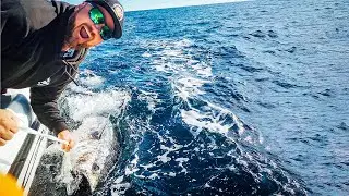 INSANE 236kg BLUE FIN TUNA!