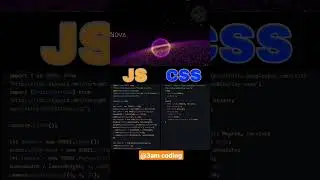 Front end developer #code #developer #html5 #javascript #jquery #react #shortsfeed #css #html #day11