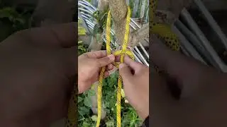 N&Oacute; PRATICO E F&Aacute;CIL DE FAZER E DESFAZER