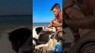 Sharing is caring😊🏝️🇮🇹 #dog #dogshorts #doglife #doglover #dogofyoutube #dogoftheday #dogdays