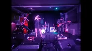 SAY WHAT! / HOUNDOG - LADY CYNTHIA AND THE ALLIGATORS LIVE 