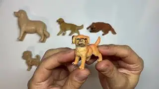 Mira & Sara Toys & Fun / ASMR / Spielzeug Hunde / Toys dogs