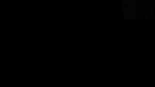 @poodlecorp
