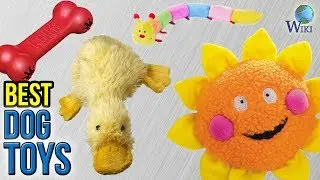 10 Best Dog Toys 2017