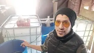 garage fish farm