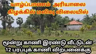 யாழ்ப்பாணம் அரியாலை கிழக்கில் மலிவு விலையில் காணி விற்பனைக்கு 