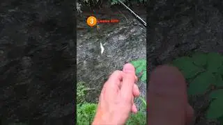 1 2 3 🤣🤣🤣 #onlytroutfishing #fishing #catchandrelease #troutfishing #spinningtrout