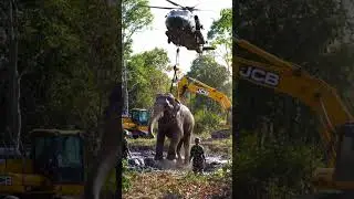 Army&rsquo;s Daring Rescue of a Trapped Elephant Using Helicopter & JCB