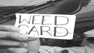Weed Card Vine (Silent Film Meme)