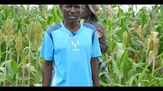 Mother-baby trial approach to learning conservation agriculture