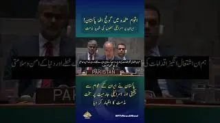 Pakistan Strongly Condemns Israeli Attacks on Iran | UN Security Council Statement
