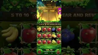 jungle delight, 5 scatter 15 free spin