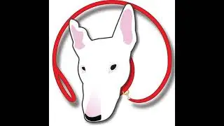 (Audio only podcast) Love, Dog Style.