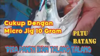 Casting di PLTU batang...!! bikin ketagihan_14 ekor ikan talang&sup2; landed_ini rekor pertama saya...!!