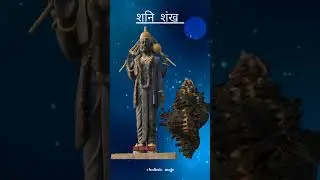 𝙑𝙚𝙙𝙞𝙘 𝙧𝙚𝙢𝙚𝙙𝙮 | शनि शंख | 𝙎𝙝𝙖𝙣𝙞𝙙𝙚𝙫 𝙗𝙡𝙚𝙨𝙨𝙞𝙣𝙜𝙨 | 𝙍𝙚𝙢𝙤𝙫𝙚 𝙚𝙫𝙞𝙡 𝙚𝙮𝙚 𝙖𝙣𝙙 𝙣𝙚𝙜𝙖𝙩𝙞𝙫𝙚 𝙚𝙣𝙚𝙧𝙜𝙞𝙚𝙨 | वैदिक उपाय