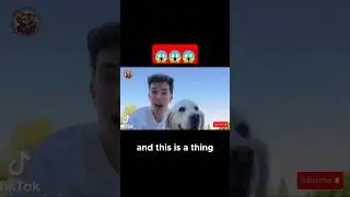 James Charles' Damage Control Efforts #JamesCharles #DamageControl #SocialMediaStrategy