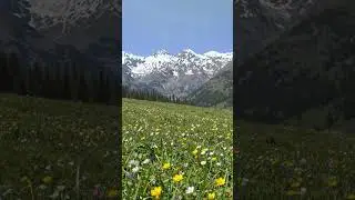 [3-Minute Sleep Aid #0657] Ultimate Rest for Astonishing Healing Effects [Miracle 528Hz]
