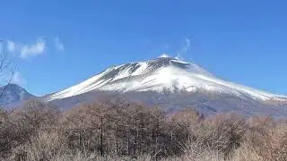 Karuizawa Wild Bird Sanctuary Winter Walk vol.2 軽井沢　野鳥の森　冬の散歩
