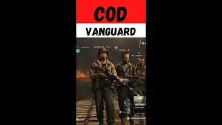 COD VANGUARD STG 44 BLUE PRINT BONE SHAKER. FBA uk-r7kytt