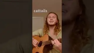 Cattails - Big Thief - Cover #acousticcover #bigthief Adrianne Lenker cover